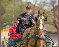 2POSIEUX 0089